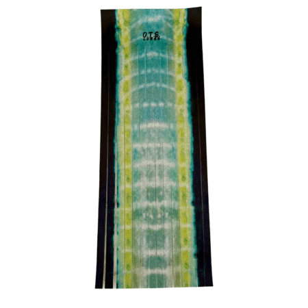 Printed Yellowfin Vinyl Skirt